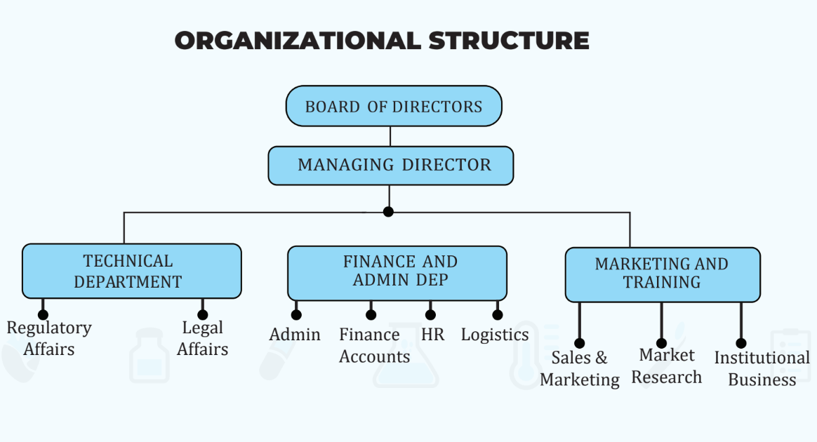 Organizational Structure